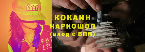гашик Михайловка