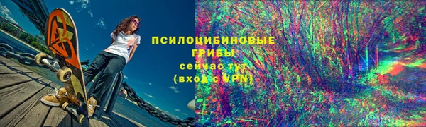 дурь Михайлов