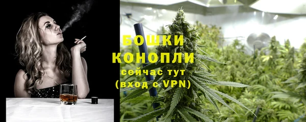 ГАЛЛЮЦИНОГЕННЫЕ ГРИБЫ Михайловск