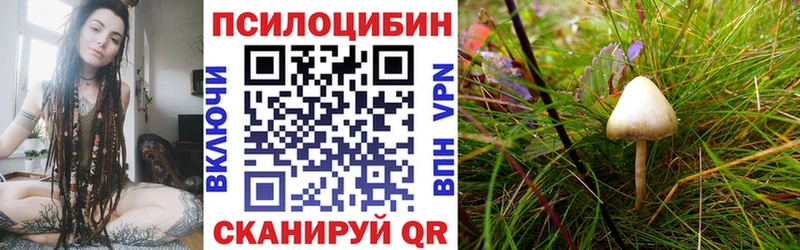 Псилоцибиновые грибы GOLDEN TEACHER  Струнино 