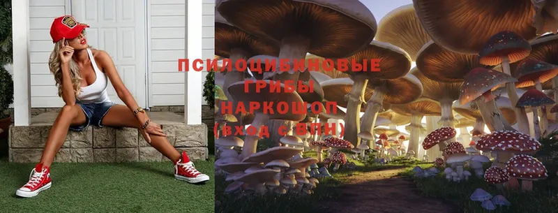 купить закладку  Струнино  Псилоцибиновые грибы MAGIC MUSHROOMS 