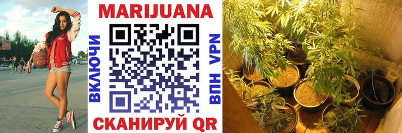 где продают Струнино даркнет клад Шишки марихуана тримм